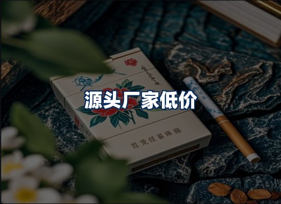 专业团队办公环境